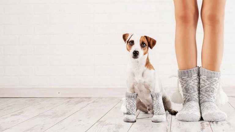 Top Proven Ways to Warm Up Cold Floors Top Proven Ways to Warm Up Cold Floors